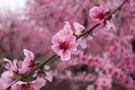 Photo By Imsoon Lee